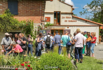 Les Vignes des Garbasses