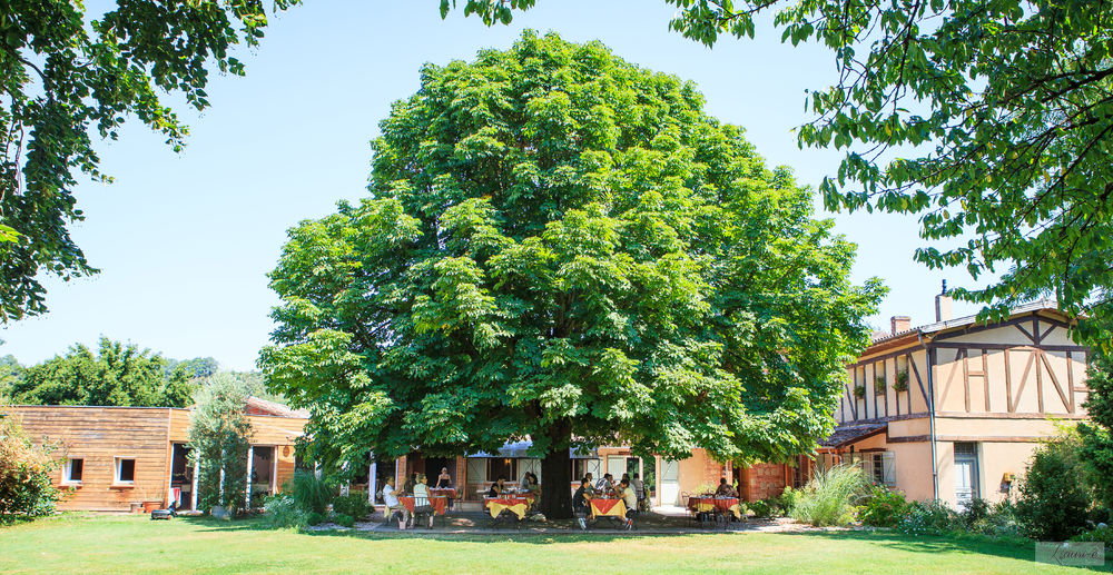 Restaurant Le Colvert - Saint-Lieux-les-Lavaur - Tarn