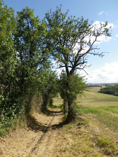 Randonnée La Voie Romaine - Lavaur - Puylaurens - Pays de Cocagne - Tarn