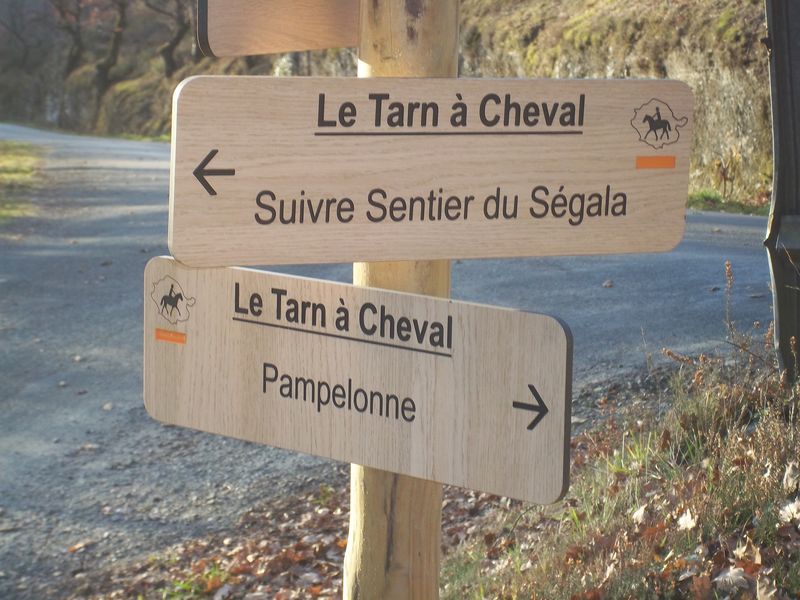 UN TOUR DE CHEVAL - mots croisés en 5 lettres
