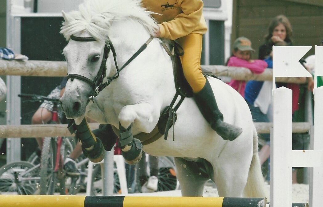 Poney City