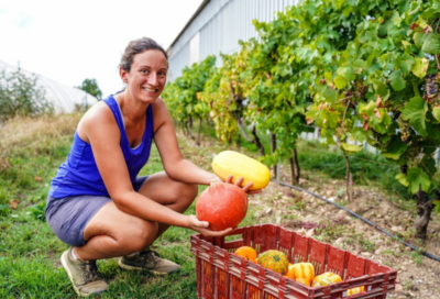 Les Légumes du Pigeonnier
