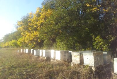 Les Ruchers de Puylaurens