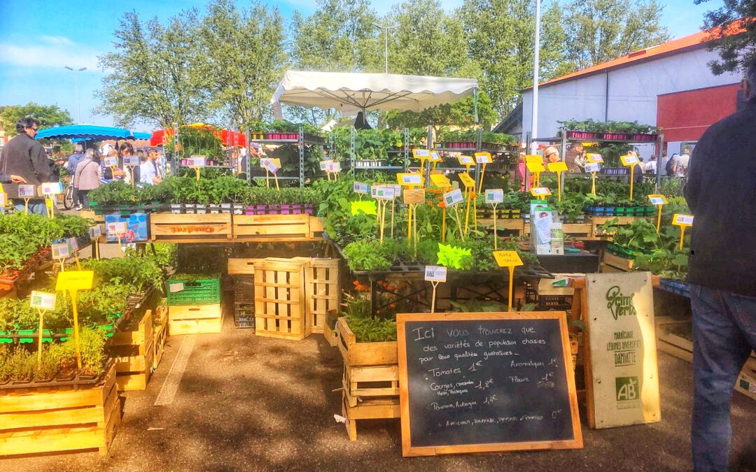 La Ferme aux Prim’Verts