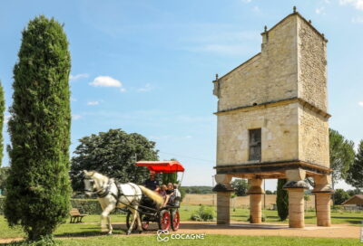 Balade découverte en calèche