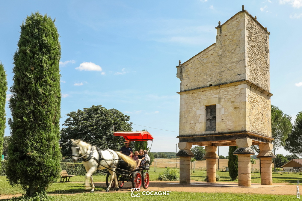 Balade découverte en calèche