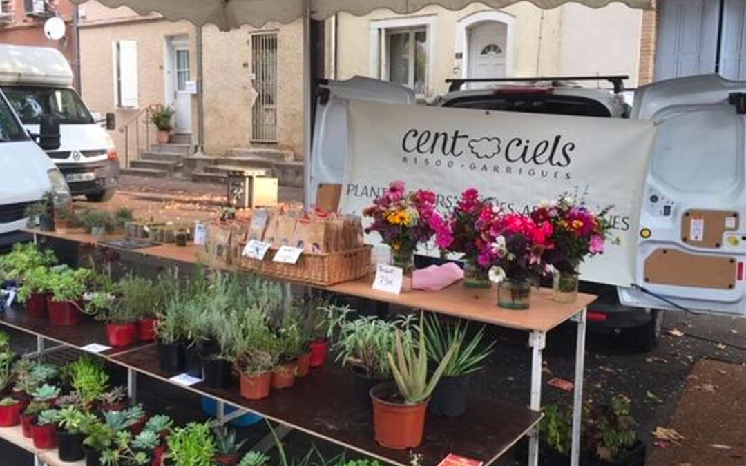 Cent Ciels- Plantes aromatiques et fleurs