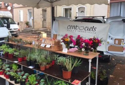 Cent ciels – Plantes aromatiques – Garrigues – Tarn – 81