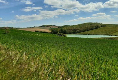 Gîte Les Acacias d’En Cassé***