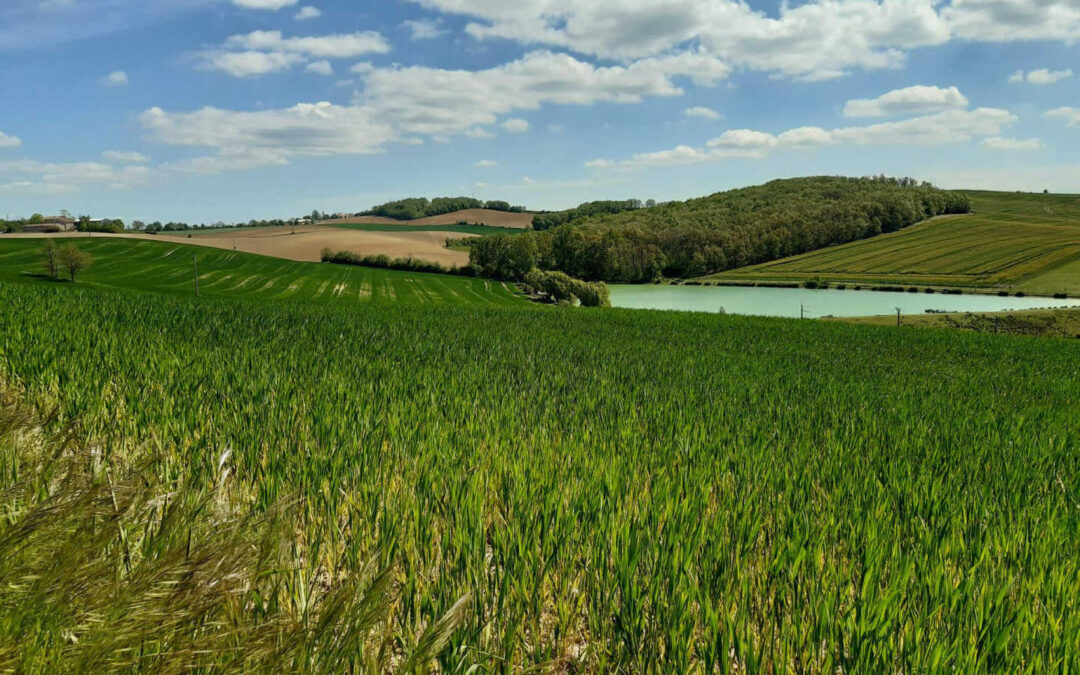 Gîte Les Acacias d’En Cassé