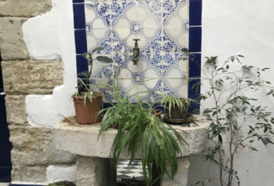 Gîte L’Oiseau Bleu