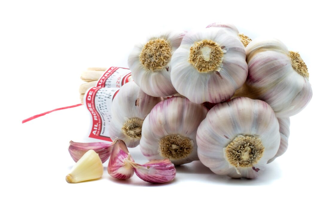 La Lautrécoise – Producteur d’ail