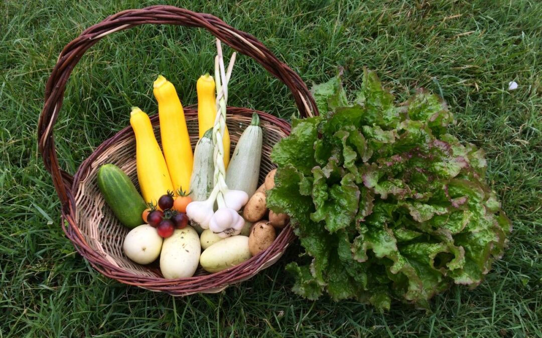 Aux Jardins du Léou