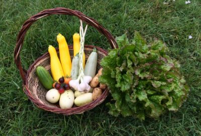 Aux Jardins du Léou