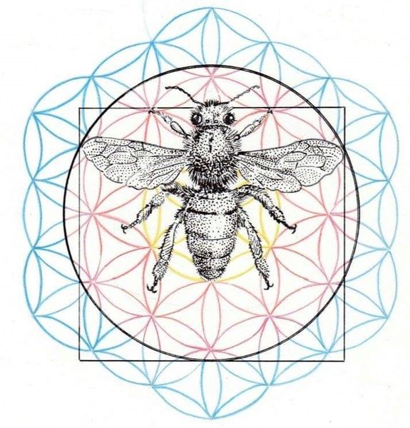 Lola Genès M.iel Miflore