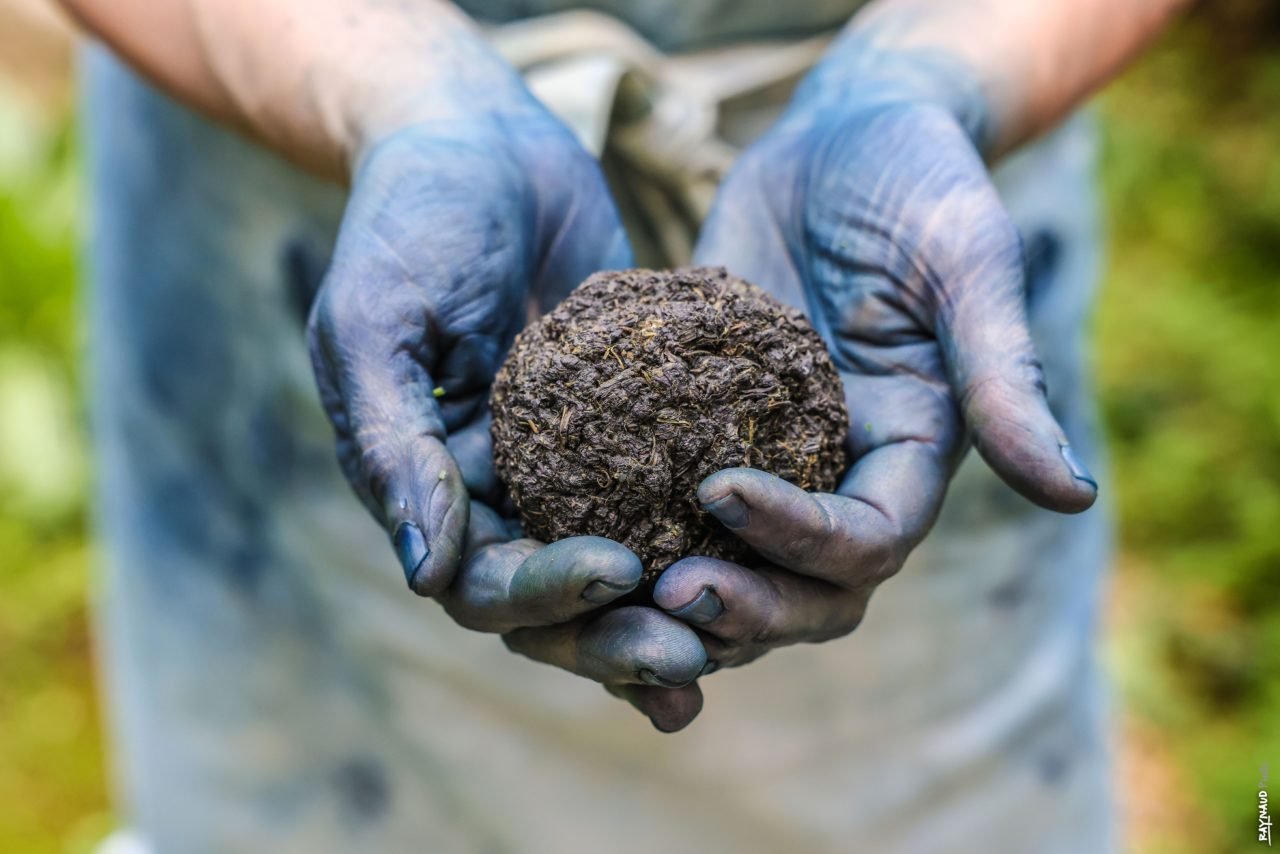 Le Pays de Cocagne, un nom évocateur - Pays de Cocagne | Tourisme