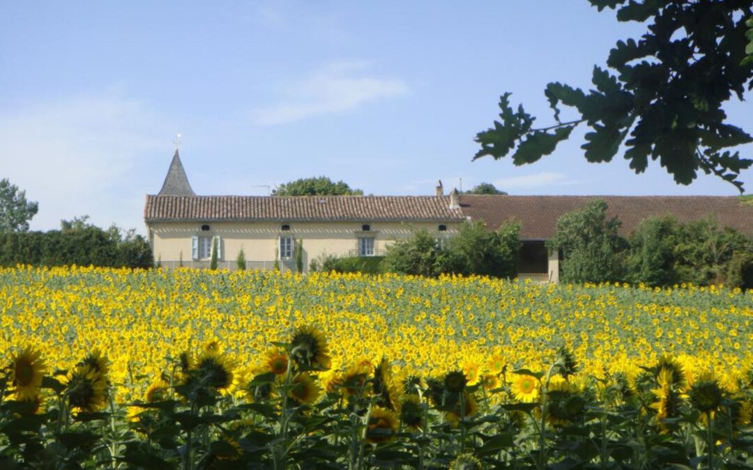 Domaine de Labadie – Les Tilleuls