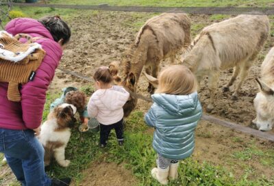 La Patte sur le Feel