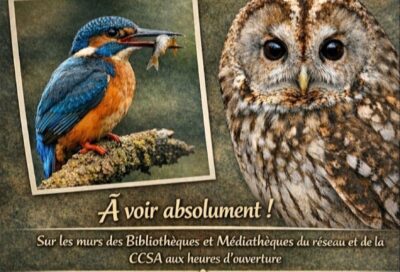 Festival Photos Nature_Verdalle