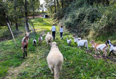 Ferme la patte sur le feel_Cuq-Toulza