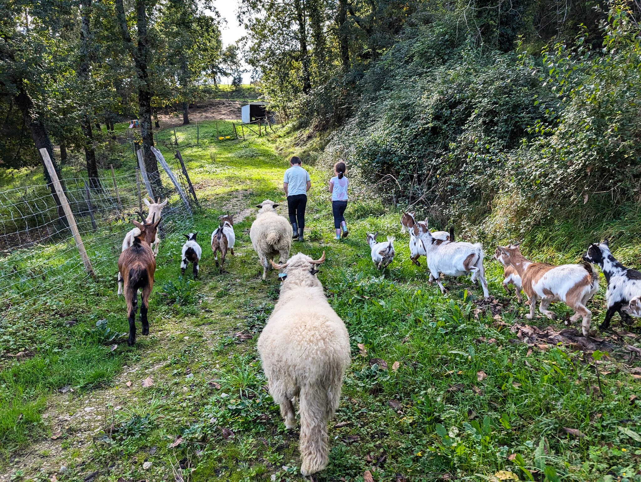 Ferme la patte sur le feel_Cuq-Toulza