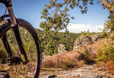 Séjour Vélo : Le Tour du Tarn en 4 jours_Lavaur