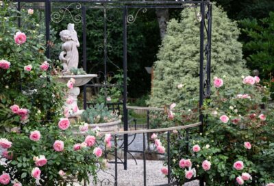 Les Rendez-vous aux Jardins 2025_Verdalle
