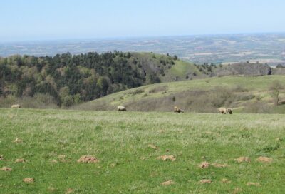 Dans les pas de Dom Robert