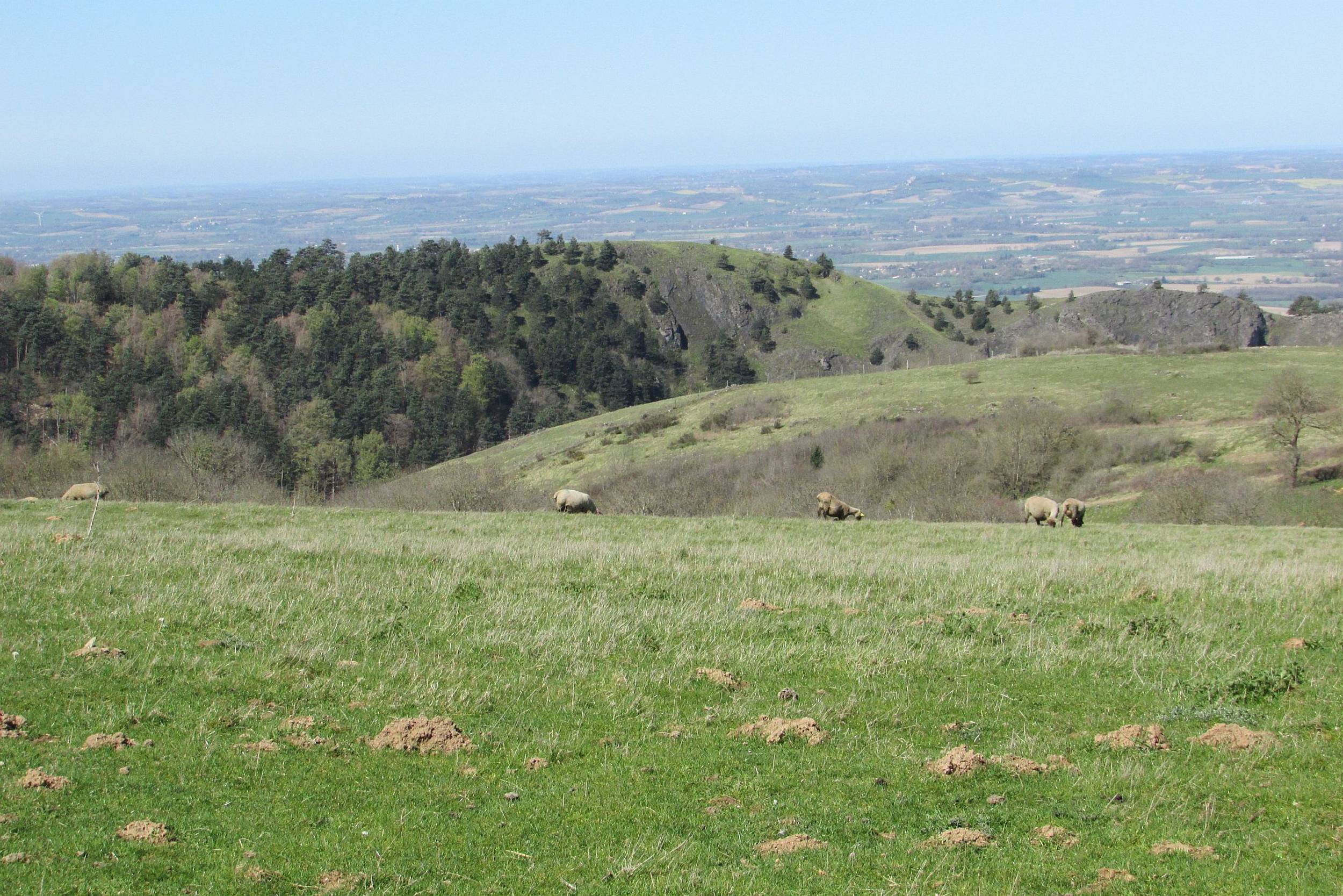 Dans les pas de Dom Robert