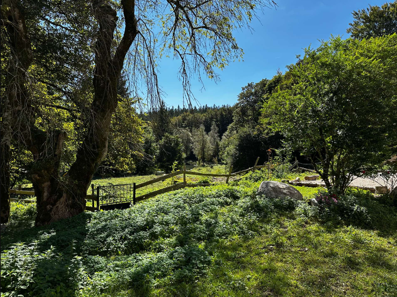 Gite d'Etape de Fontbruno_Escoussens
