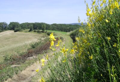 Le sentier de Saint-Sébastien