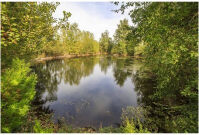 Le chemin de l’eau