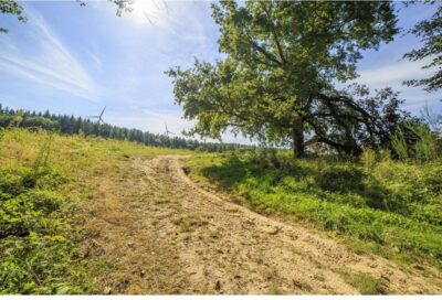 Le circuit du pas du Loup