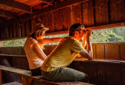 Le chemin des oiseaux