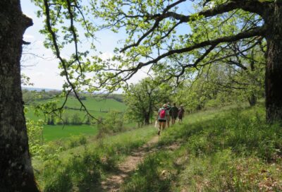Sentier des coteaux