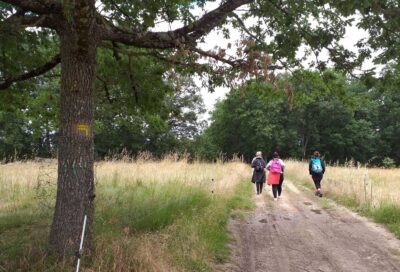 Sentier des pays d’en haut