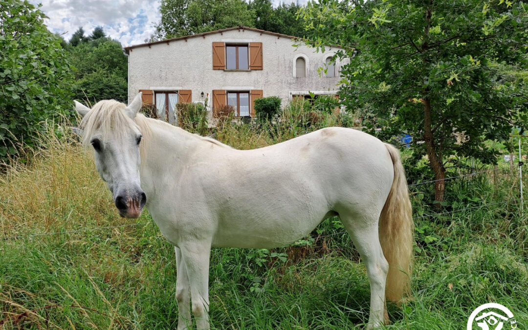Au logis de Cantemerle