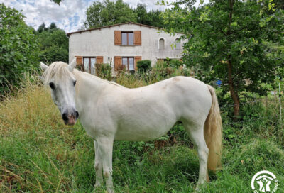 Au logis de Cantemerle