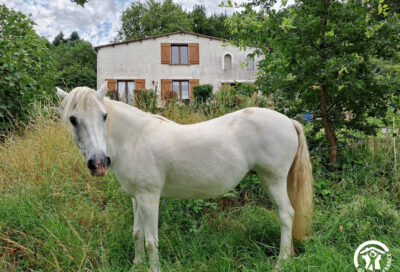 Au logis de Cantemerle