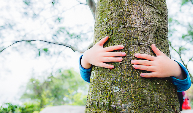 Une sortie en forêt comme vous ne l’avez jamais faite