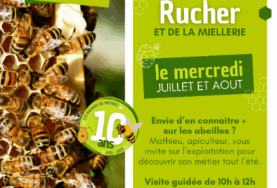 Visite du Rucher et des Abeilles