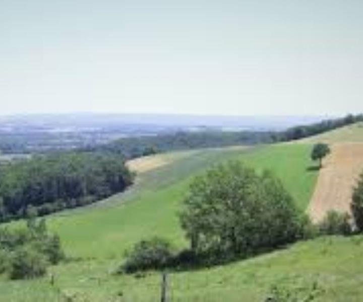 Jeu de piste " Panorama"_Lavaur