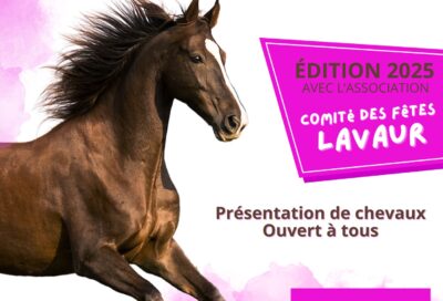 Concours d’équidés_Lavaur