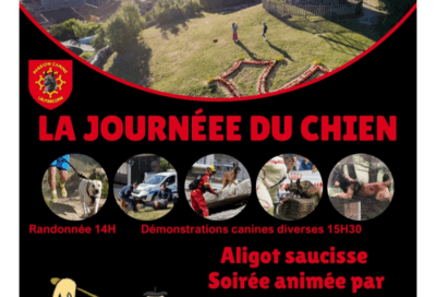 La journée du chien