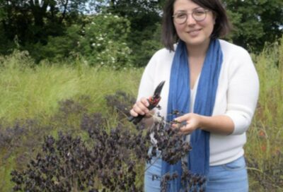 Atelier reconnaissance des plantes et création de tisane_Teulat