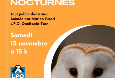 Conférence – Les rapaces noturnes_Lavaur