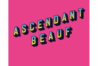 Arpentage du livre “Ascendant beauf” de Rose Lamy
