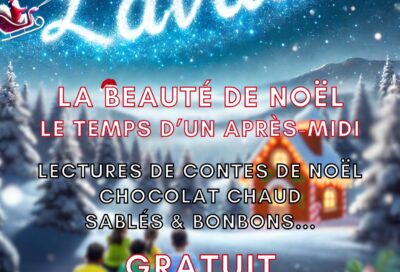 La beauté de Noël le temps d’un aprés-midi_Lavaur