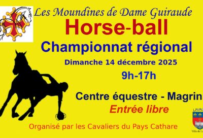 Tournoi régional de Horse-ball