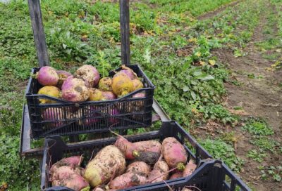 Le Cy Bo Jardin_Saint-Affrique-les-Montagnes